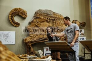 Gali fosil dan banyak lagi di Jejak Dinosaurus