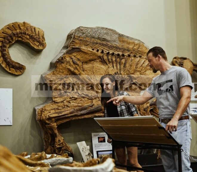 Gali fosil dan banyak lagi di Jejak Dinosaurus