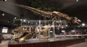 Museum Pegunungan Rocky_ Bozeman