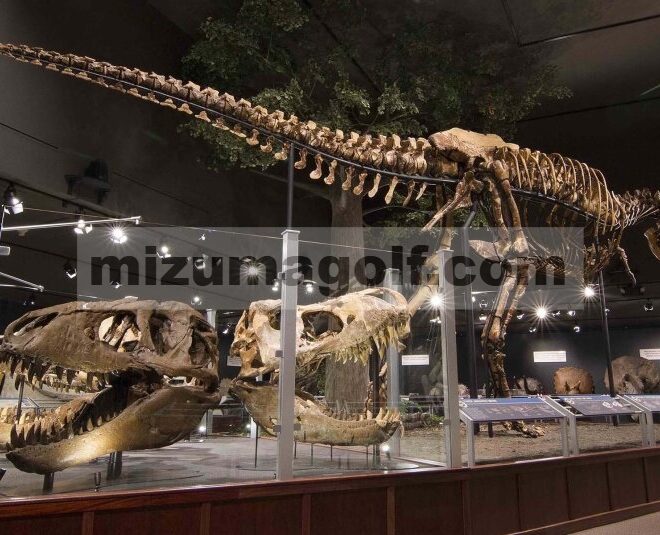 Museum Pegunungan Rocky: Bozeman