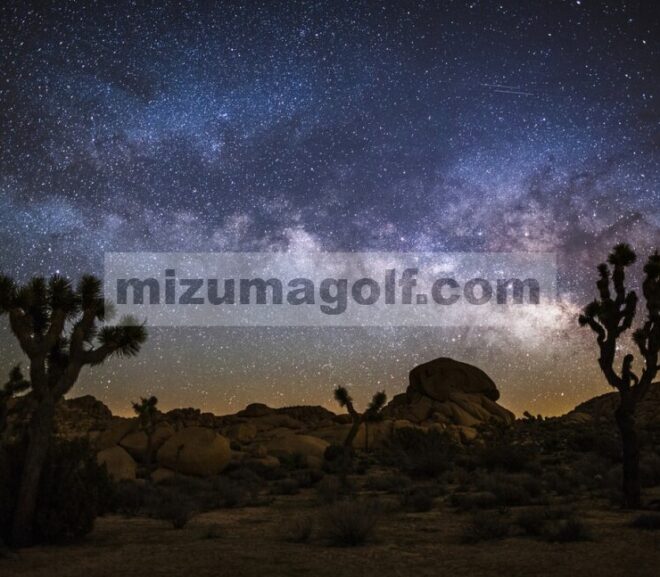 Taman Nasional Joshua Tree, California