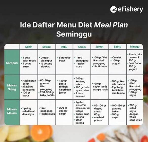 Meal Plan Sehat