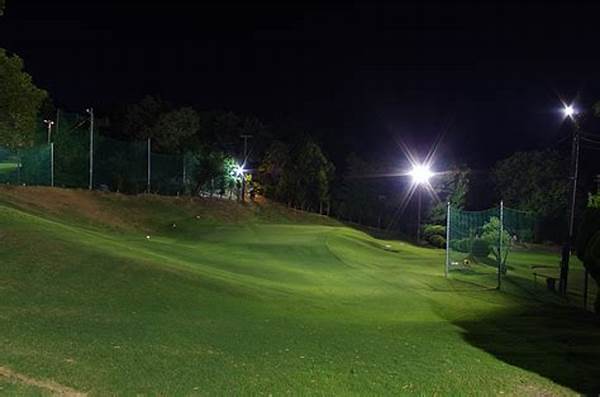 Review Mizumagolf