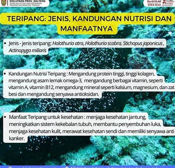 Berita Nutrisi