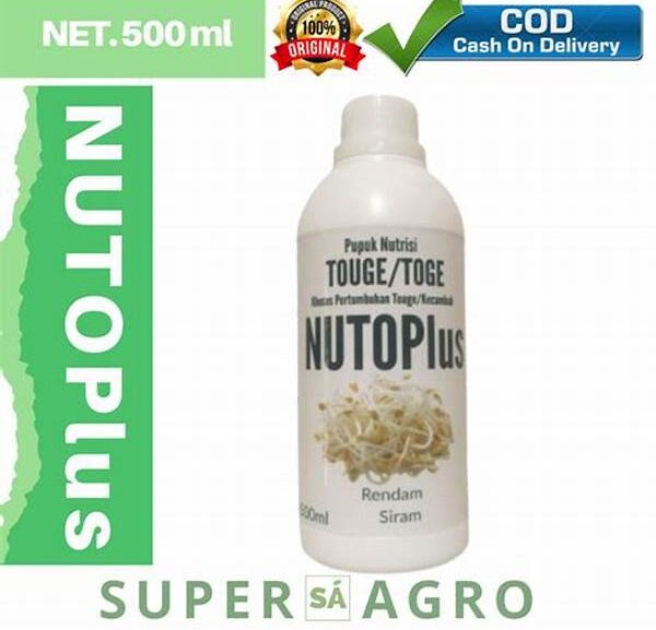 Support Nutrisi