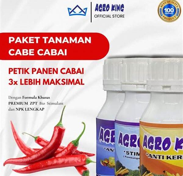 Paket Nutrisi Maksimal